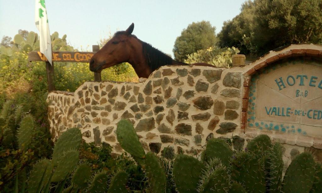 Valle Del Cedrino Hotel 2*
